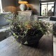 Kunst Salixkrans 